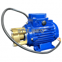 Двигатель + помпа для блока жидкостного охлаждения 3510В с выходящим валом - st-e.info - Сургут